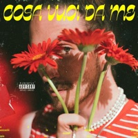 Cosa Vuoi Da Me - Single - Ciri & 4ndre