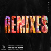 Why Do You Worry Remixes - Single - KEENE & Jackie Plummer