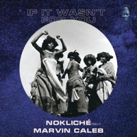 If It Wasn't For You (feat. Marvin Caleb) - Single - NoKliché
