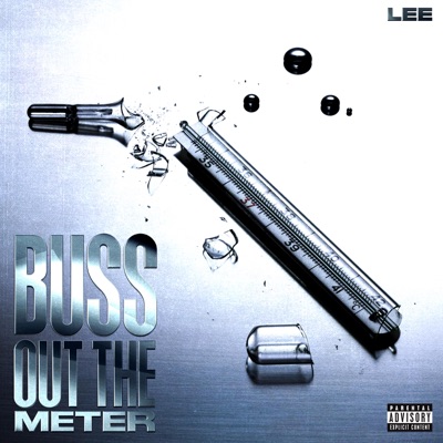 Buss Out the Meter - Single