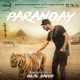 PARANDAY cover art