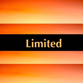 Limited (feat. Murs) Hindustani