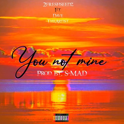You not Mine (feat. Dave the artist) - Single