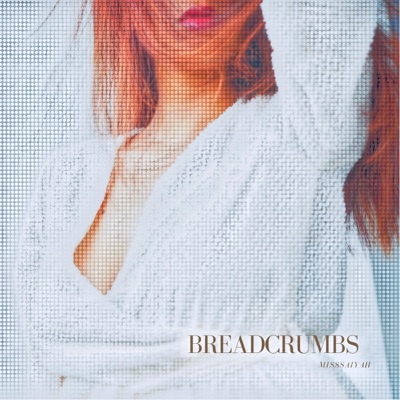 Breadcrumbs - Single