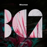 Feelings - Single - Waxman & Will RP Melville