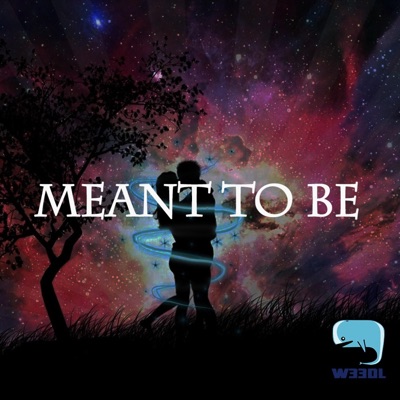 Meant to Be - Single