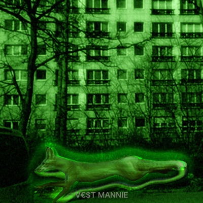 SOLDINER EXPRESS - Single