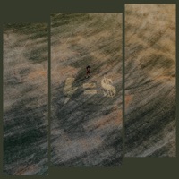 Energy Is Currency - Single - Stefan Rossi