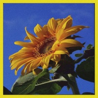 Yellow Springs - Single - J Fletch