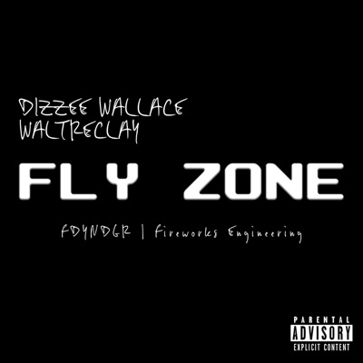 Fly Zone - Single