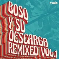 Y Su Descarga Remixed, Vol. 1 - Single - Bosq