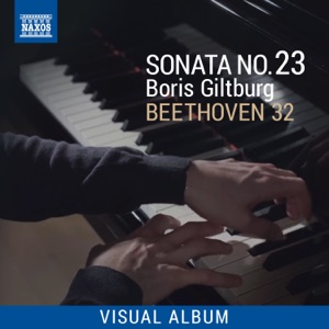 Beethoven 32: Piano Sonata No. 23 (Visual Album)