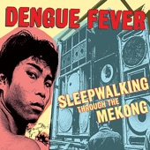 Sleepwalking Through the Mekong (Dengue Fever Presents) artwork