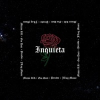 Inquieta - Single - Mizza Rr