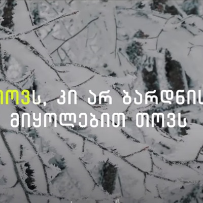 Giga Papaskiri - Tovs