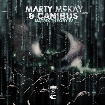 Matrix Theory IV - EP