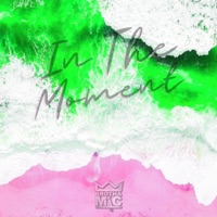 In the Moment - Single - Brotha Mic