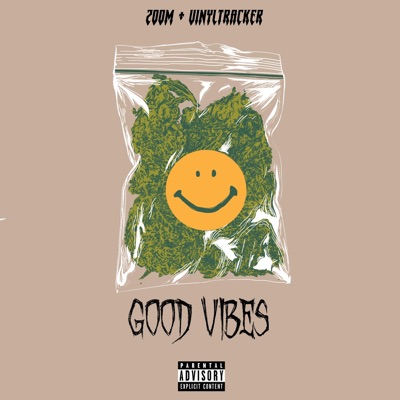 Good Vibes (feat. VinylTracker) - Single