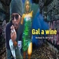 Gal A Wine (feat. Herb Seed & Shi-Lythal) - Single - DJ Melodic Sounds