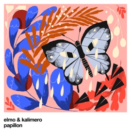 Papillon Elmo & Kalimero
