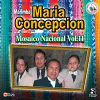 Doña Panchita — Marimba Maria Concepcion