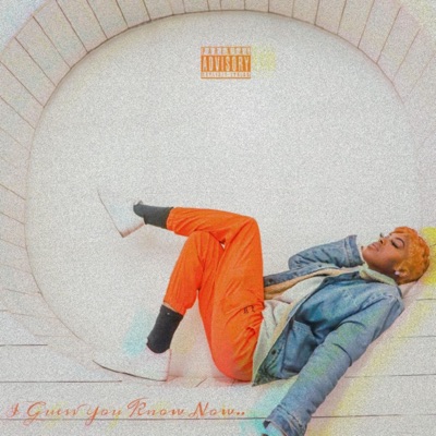 I Guess You Know Now