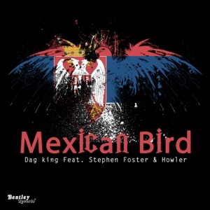 Mexican Bird (feat. Stephen Foster & Howler)