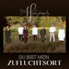 Du bist mein Zufluchtsort - Single