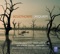 Peter Sculthorpe - Great Sandy Island: V. Dune Dreaming