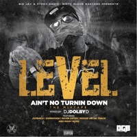 Ain't No Turnin' Down - Level