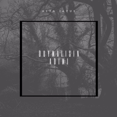 Duymalısın Adımı - Single
