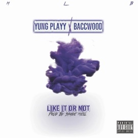 Like It or Not (feat. Baccwood) Yung Play
