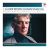 Leonard Bernstein & Bedřich Smetana - Symphony No. 5 in E Minor, Op. 64: I. Andante - Allegro con anima