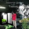 Toppaz (feat. we smoke) - Inspector Gadgit lyrics