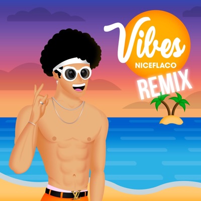 Vibes 2 (feat. Moisés G & Tanekidd) - Single