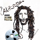 Alborosie Meets Roots Radics: Dub for the Radicals artwork