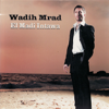 Wadih Mrad - Amar el zaman artwork