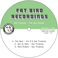 The Herb Riddim - Single - All B & Dub Troubles