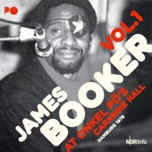 James Booker - Rockin' Pneumonia and the Boogie Woogie Flu (Live)