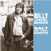 Billy Joe Shaver - The Devil Made Me Do It the First Time