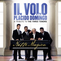 Notte Magica - A Tribute to The Three Tenors (Live)