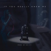 If You Really Knew Me - Single - Daisha McBride