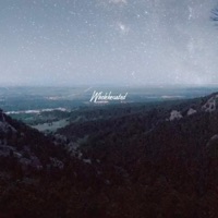 Wholehearted - Single - Andromeda