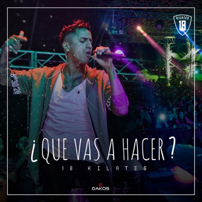 Que Vas a Hacer - Single