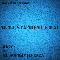 Nun C Stà Nient E Mal (feat. Mc Sopravvivenza) - Single - BigC