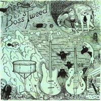 Buzz Like Houseflies (45 Version)