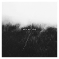 15. - While/Asleep