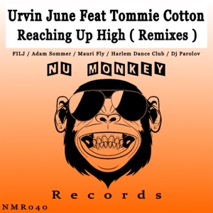 Reaching Up High (Remixes) [feat. Tommie Cotton]