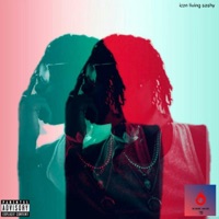 Whxt They Telling - Single - Icon Living Sashy