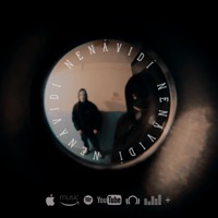 Nenávidí (feat. Wožel) - Single - TONE_OFF